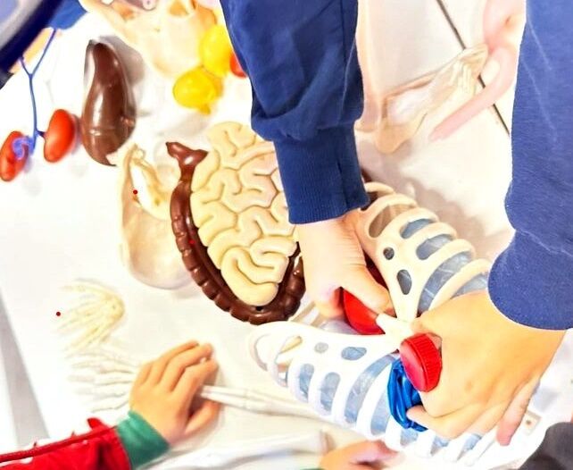 Zdjęcie: dziecięce dłonie na sztucznych narządach