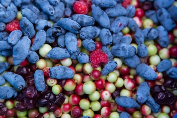 Zdjęcie owoców, foto: https://zdrowie.gazeta.pl/