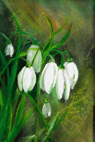 Zdjęcie: białe kwiaty na zielonym tle