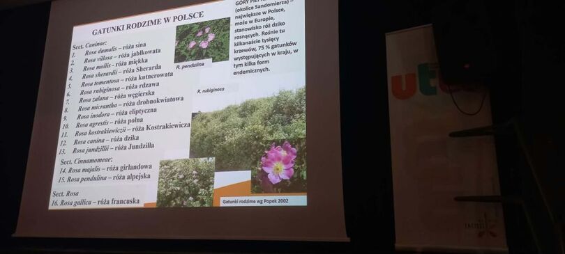 Wykład UTW: Świat pachnących róż